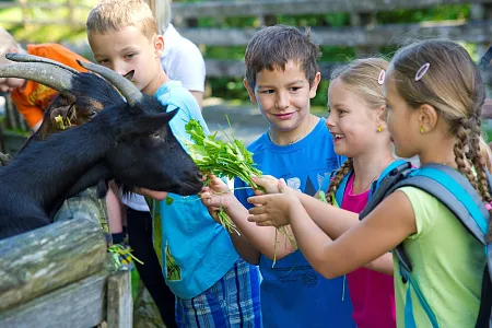 kinderprogramminst.johannintirol2gerdlfranz.jpg
